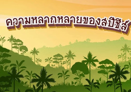 แอนิเมชัน: ความหลากหลายของสปีชีส์ พารามิเตอร์รูปภาพ 1
